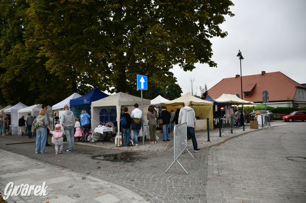 Jarmark rękodzieła na Gwarkach. Nowe miejsce!