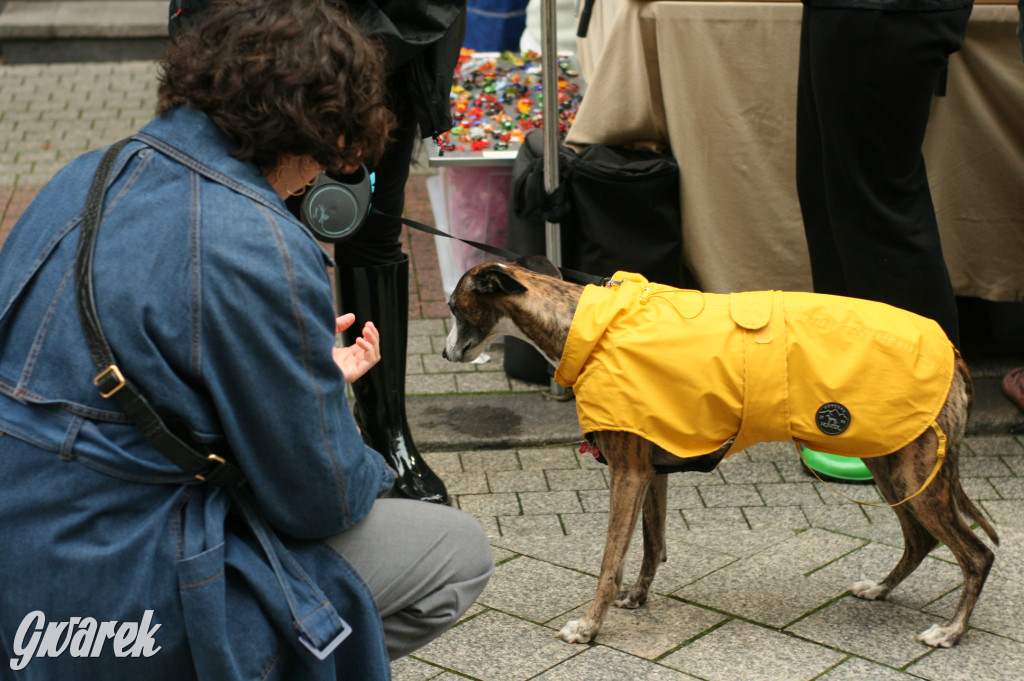 Przed nami ostatni dzień Gwarków. Tak było wczoraj