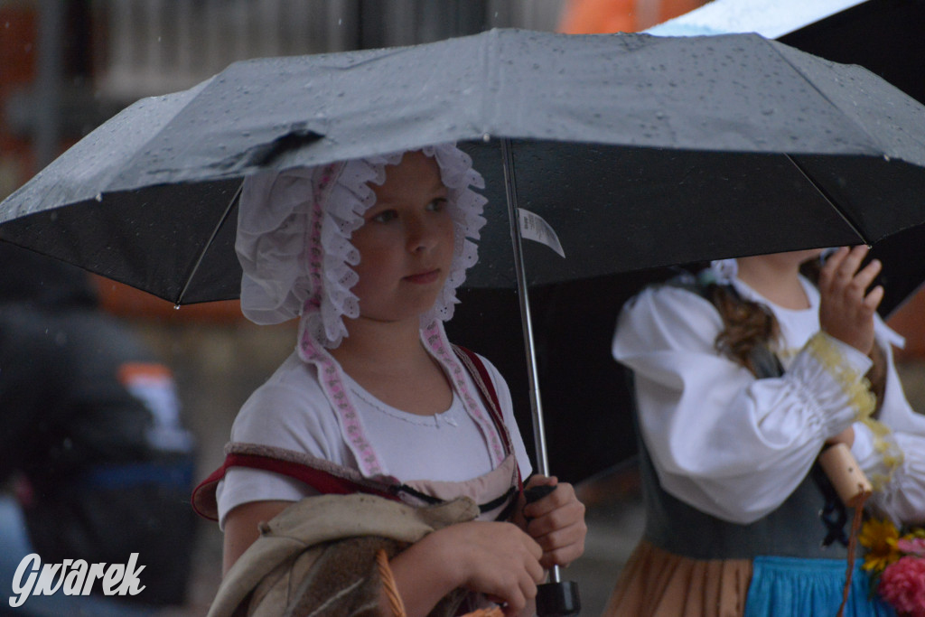 Gwarki 2025. Pochód w deszczu (cz. historyczna)