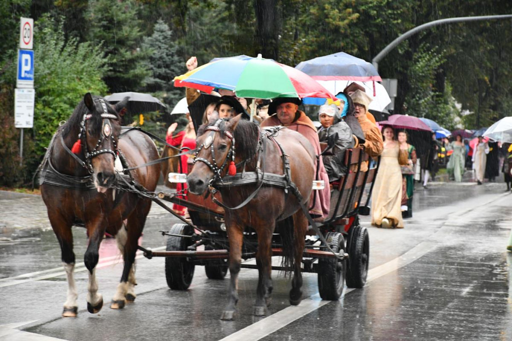 Z parasolami, w kurtkach przeciwdeszczowych  [FOTO]