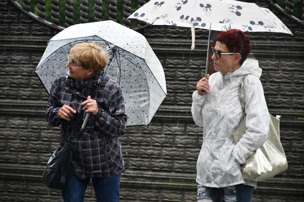 Z parasolami, w kurtkach przeciwdeszczowych  [FOTO]