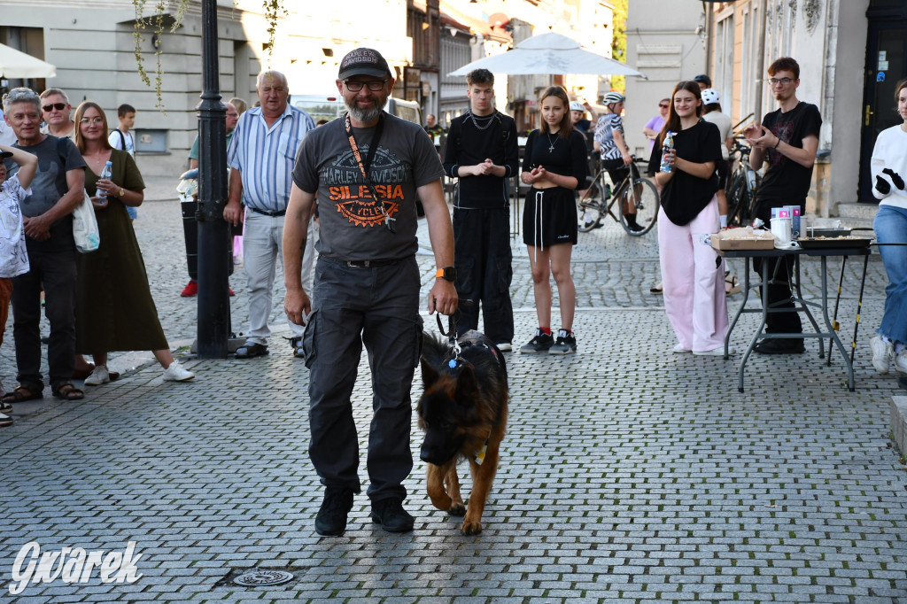 11. Tarnogórski Zlot Pojazdów Zabytkowych