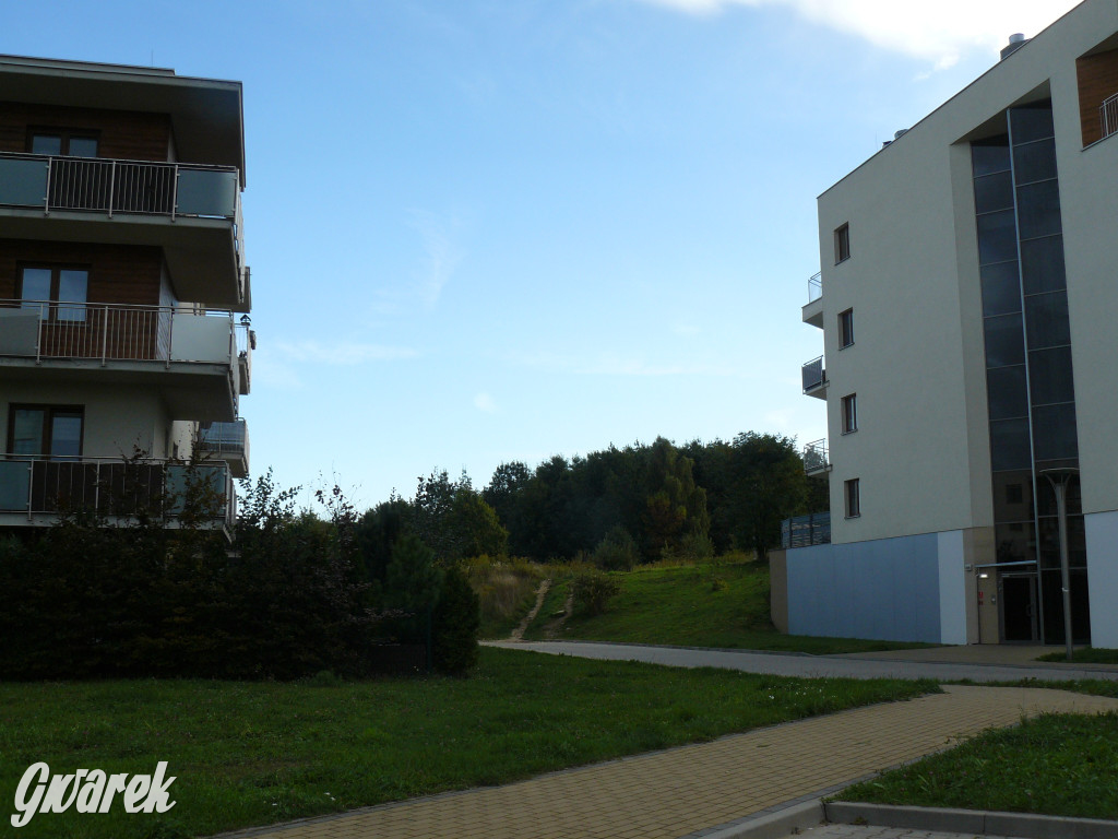 Tarnowskie Góry. Będzie nowy blok w Lasowicach?