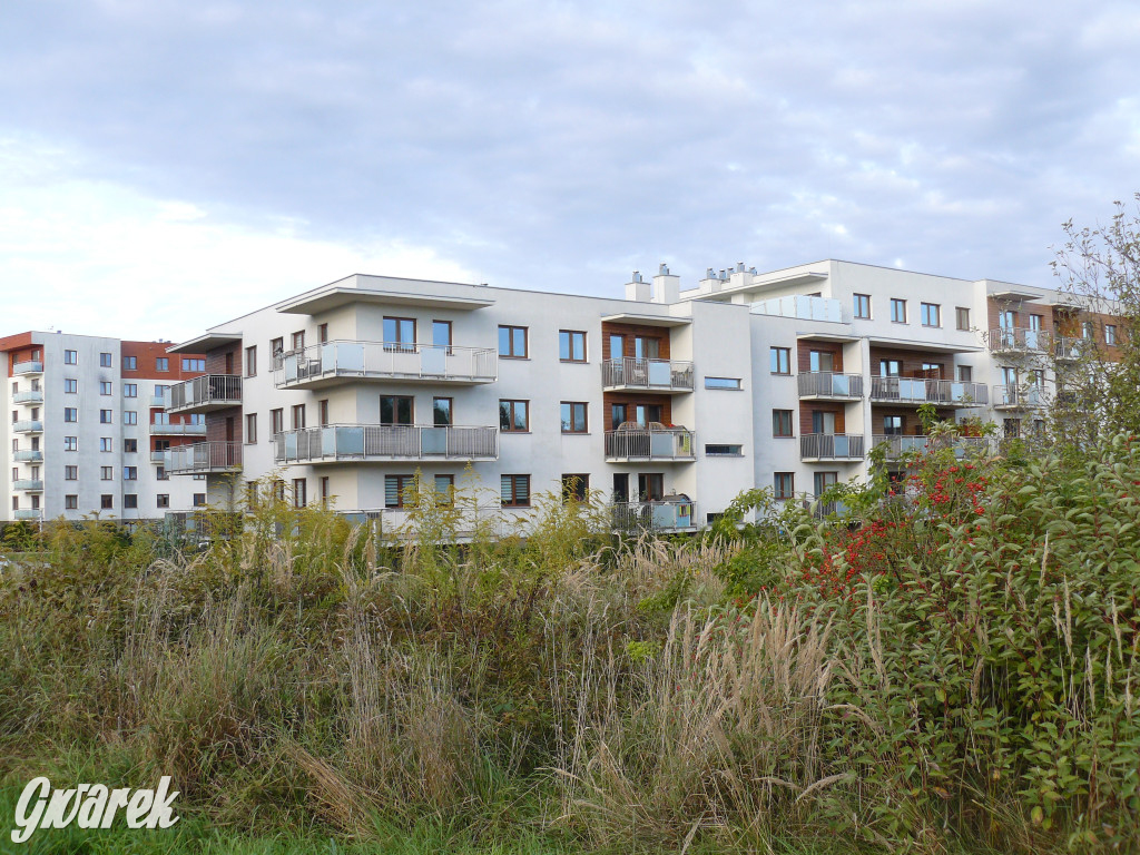 Tarnowskie Góry. Będzie nowy blok w Lasowicach?