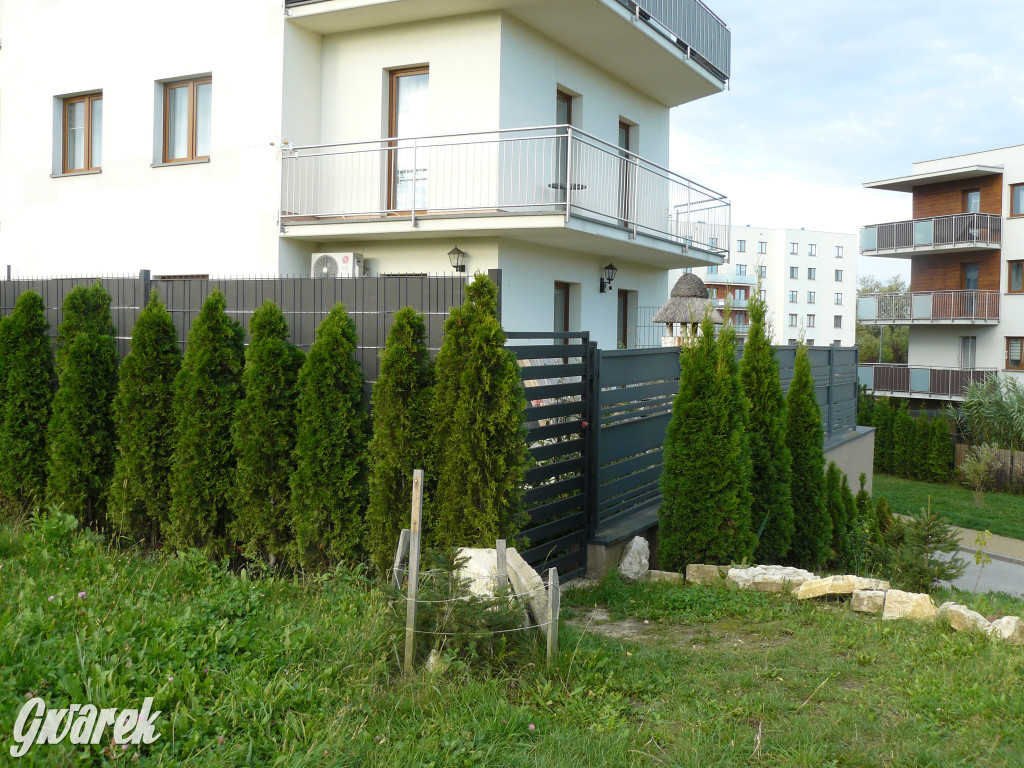 Tarnowskie Góry. Będzie nowy blok w Lasowicach?