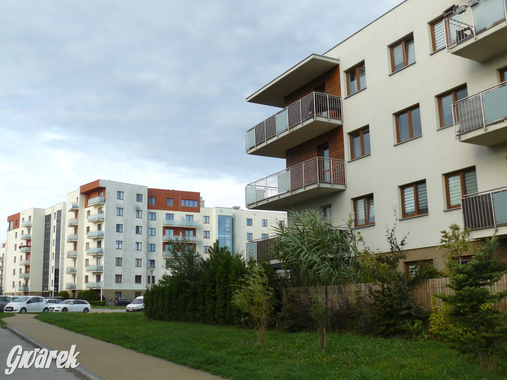 Tarnowskie Góry. Będzie nowy blok w Lasowicach?