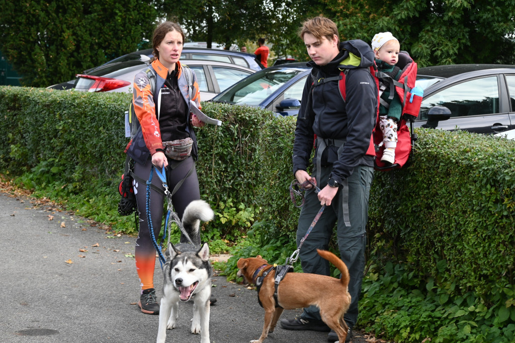 Tarnowskie Góry. Biegli z psami i pomagali psom