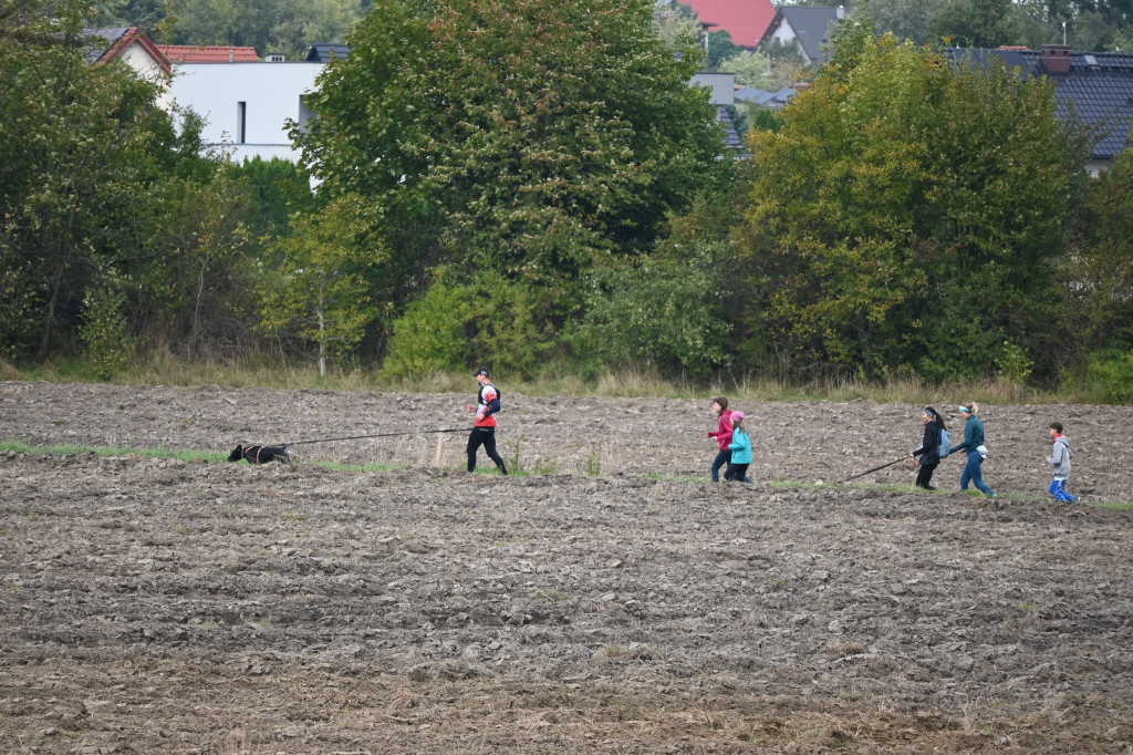 Tarnowskie Góry. Biegli z psami i pomagali psom
