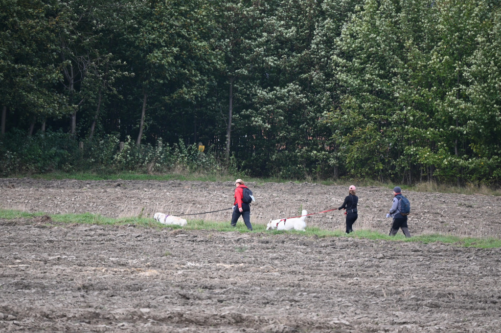Tarnowskie Góry. Biegli z psami i pomagali psom