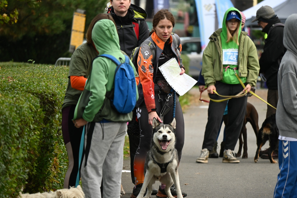 Tarnowskie Góry. Biegli z psami i pomagali psom