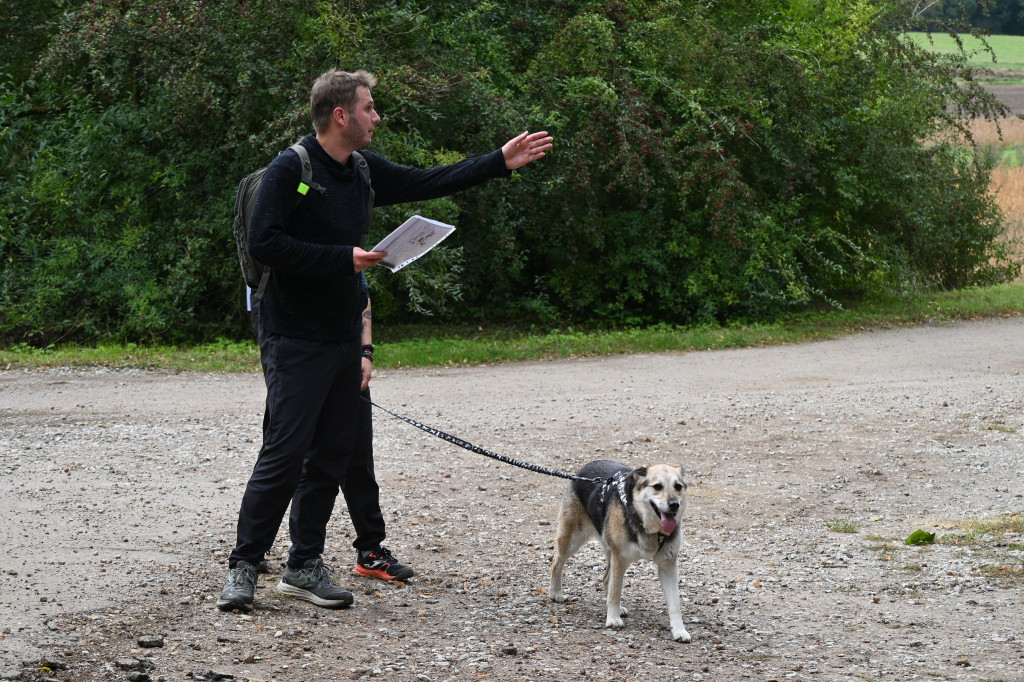 Tarnowskie Góry. Biegli z psami i pomagali psom