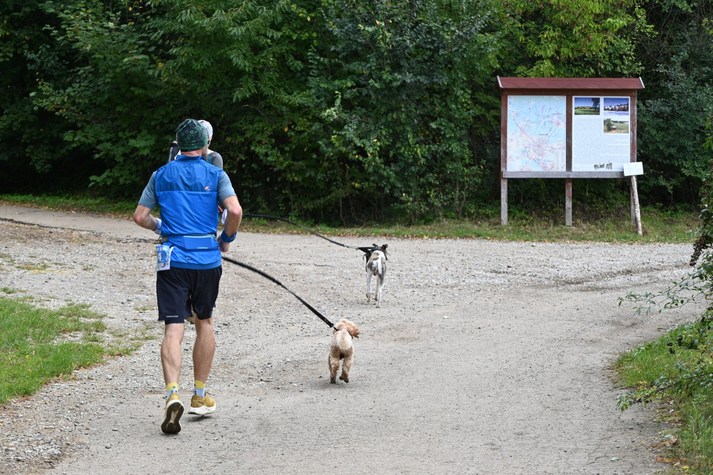 Tarnowskie Góry. Biegli z psami i pomagali psom