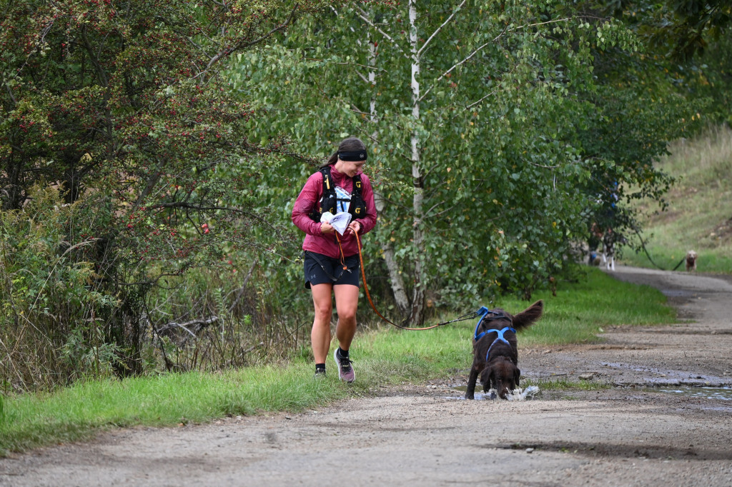 Tarnowskie Góry. Biegli z psami i pomagali psom