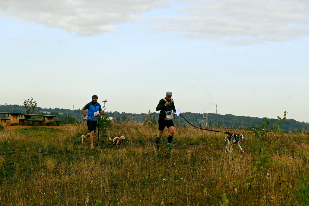 Tarnowskie Góry. Biegli z psami i pomagali psom