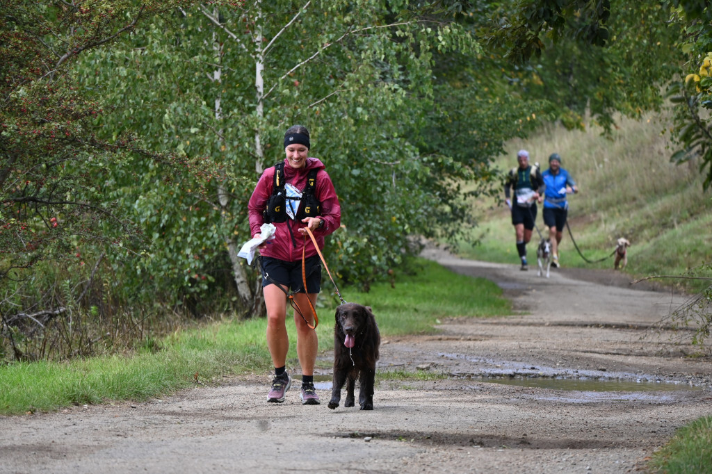 Tarnowskie Góry. Biegli z psami i pomagali psom