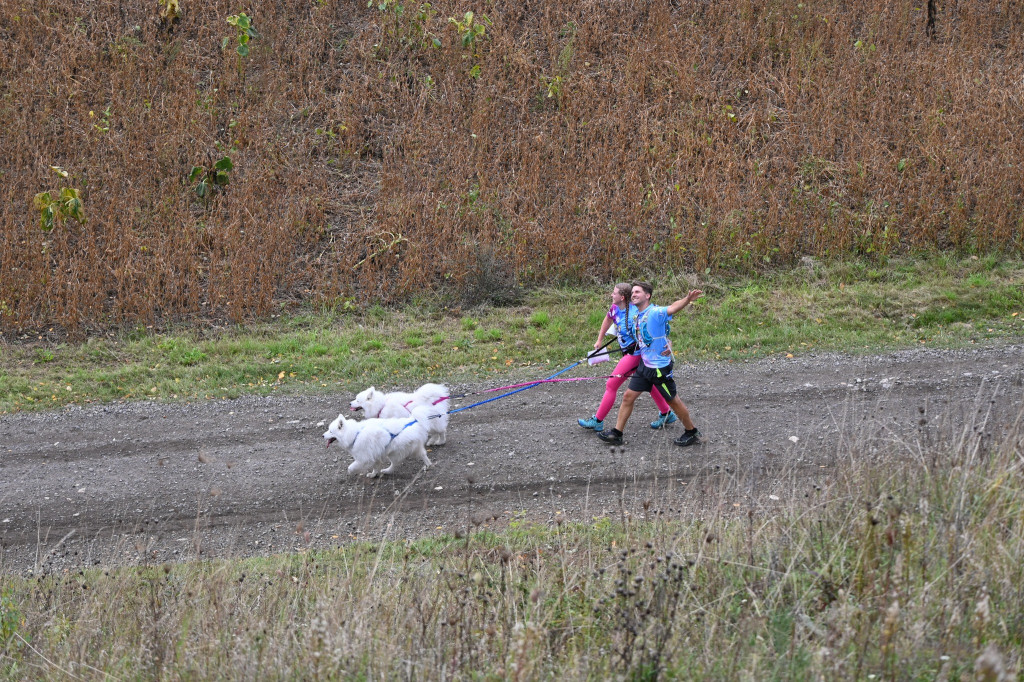 Tarnowskie Góry. Biegli z psami i pomagali psom