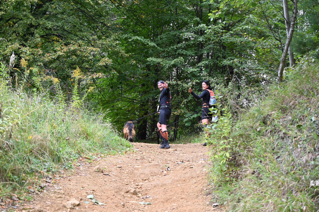 Tarnowskie Góry. Biegli z psami i pomagali psom