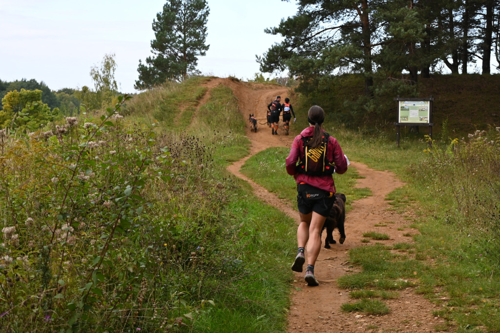 Tarnowskie Góry. Biegli z psami i pomagali psom