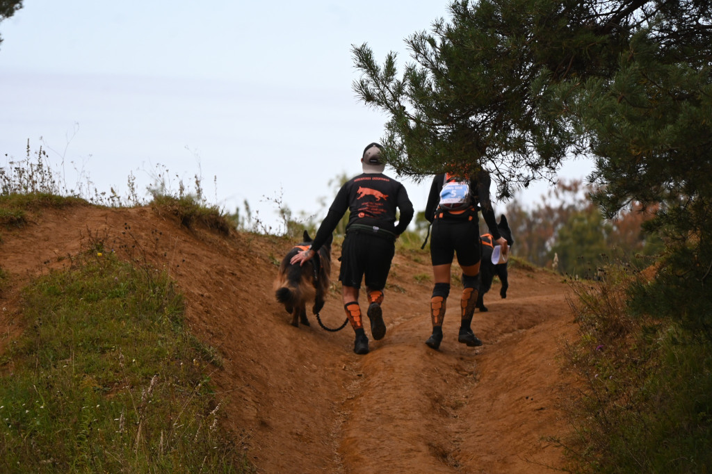 Tarnowskie Góry. Biegli z psami i pomagali psom