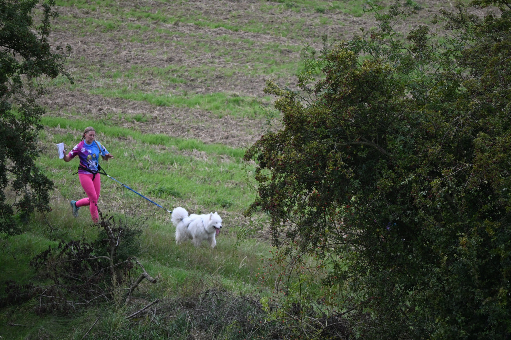 Tarnowskie Góry. Biegli z psami i pomagali psom