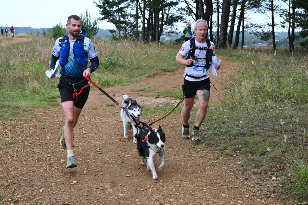 Tarnowskie Góry. Biegli z psami i pomagali psom