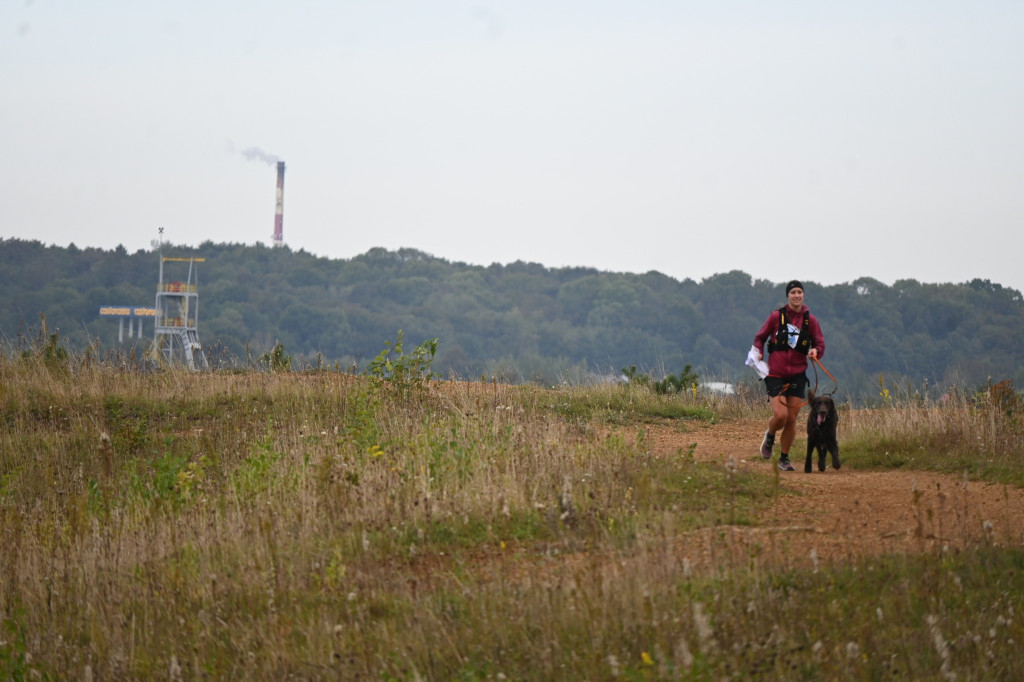 Tarnowskie Góry. Biegli z psami i pomagali psom
