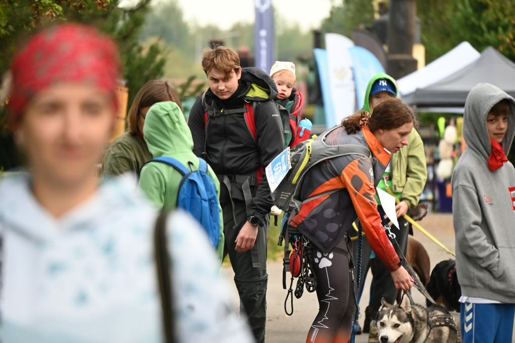 Tarnowskie Góry. Biegli z psami i pomagali psom