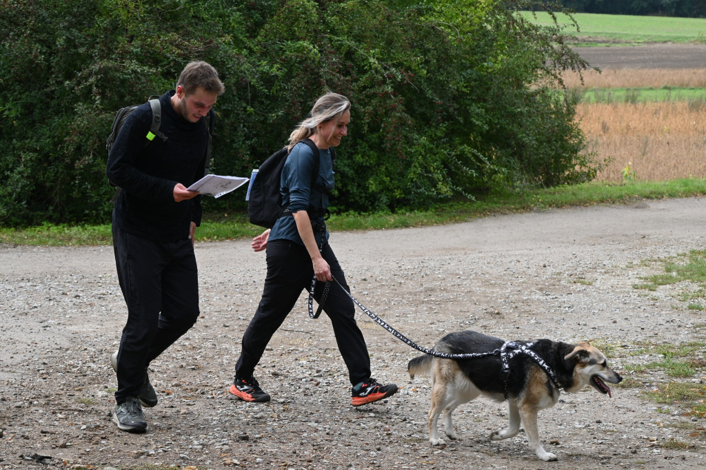 Tarnowskie Góry. Biegli z psami i pomagali psom
