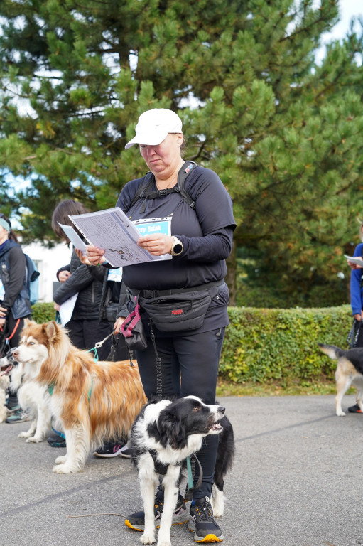 Tarnowskie Góry. Biegli z psami i pomagali psom