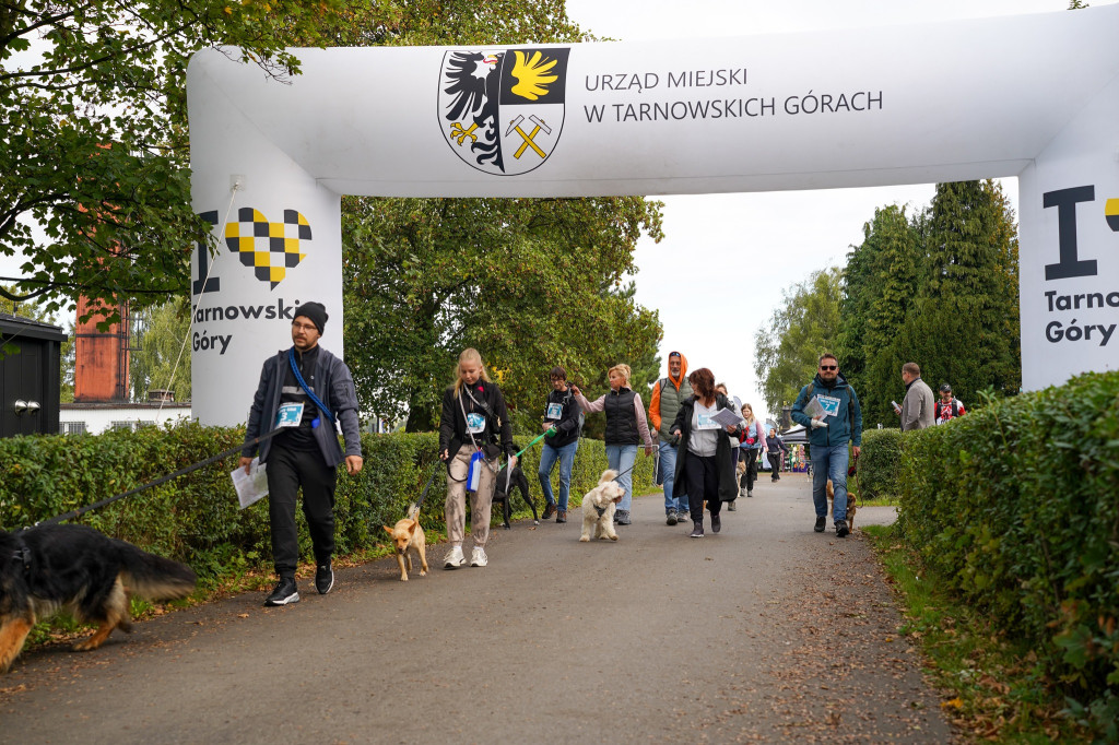 Tarnowskie Góry. Biegli z psami i pomagali psom