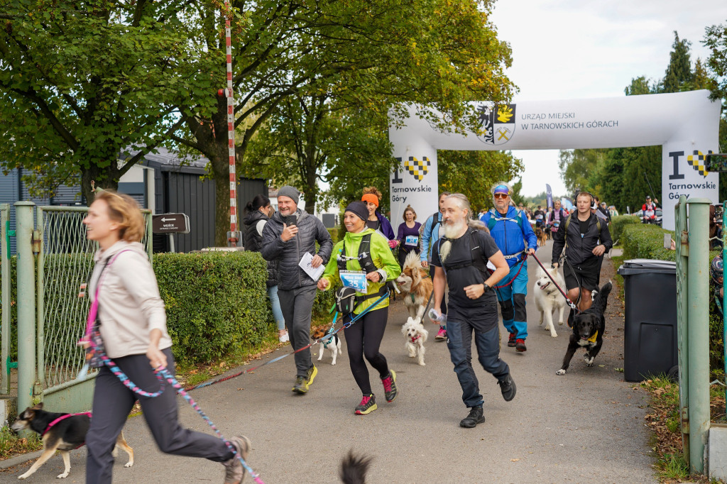 Tarnowskie Góry. Biegli z psami i pomagali psom