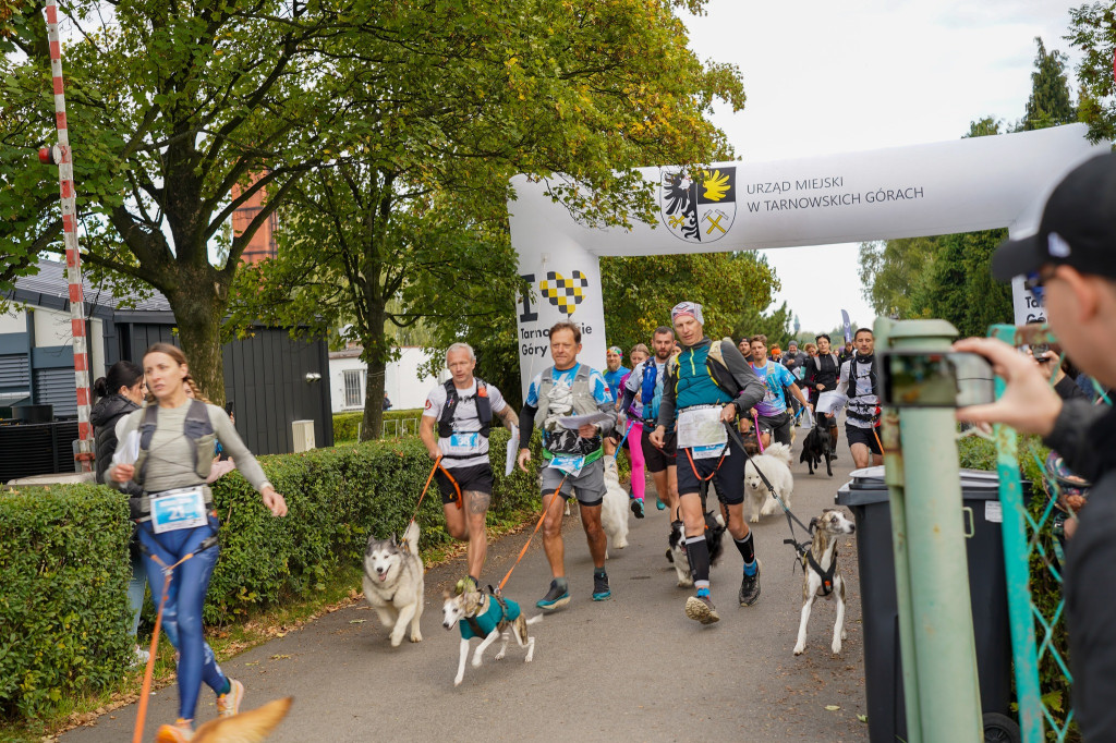 Tarnowskie Góry. Biegli z psami i pomagali psom