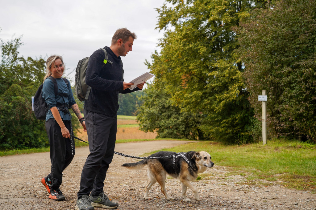 Tarnowskie Góry. Biegli z psami i pomagali psom