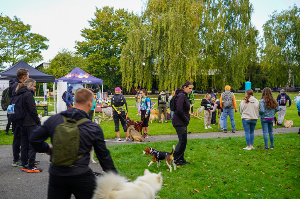 Tarnowskie Góry. Biegli z psami i pomagali psom