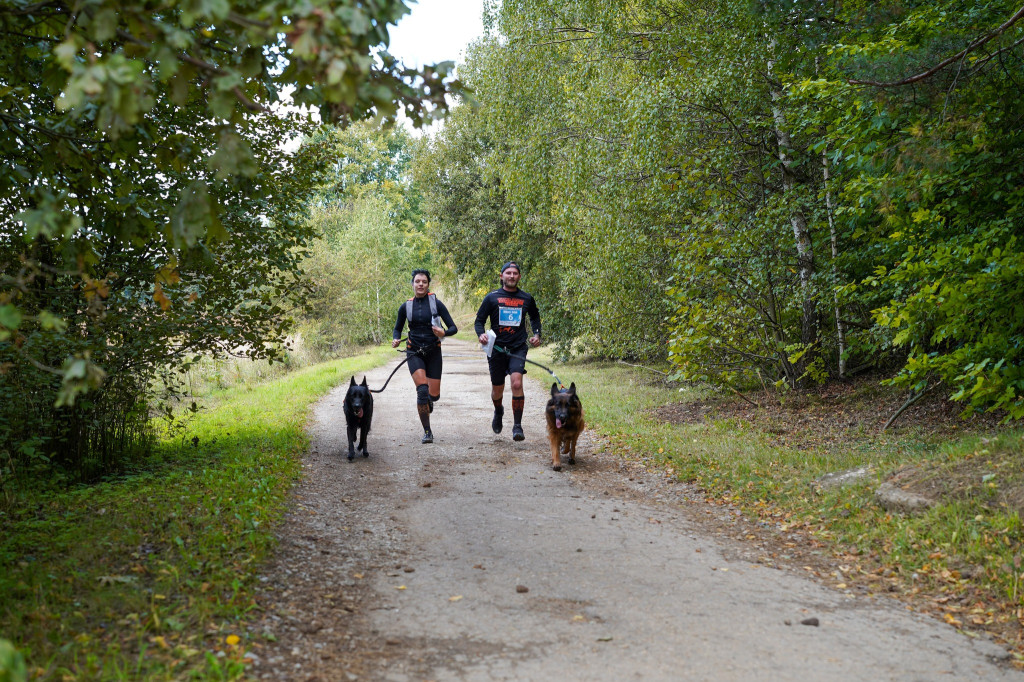 Tarnowskie Góry. Biegli z psami i pomagali psom