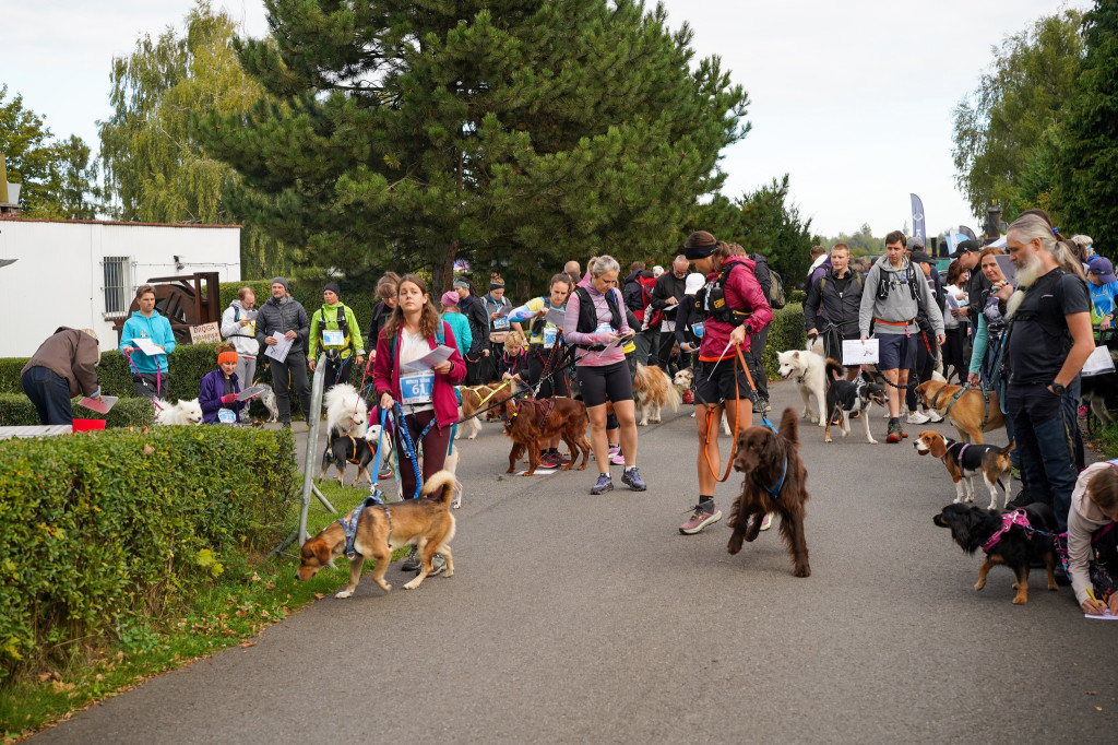 Tarnowskie Góry. Biegli z psami i pomagali psom