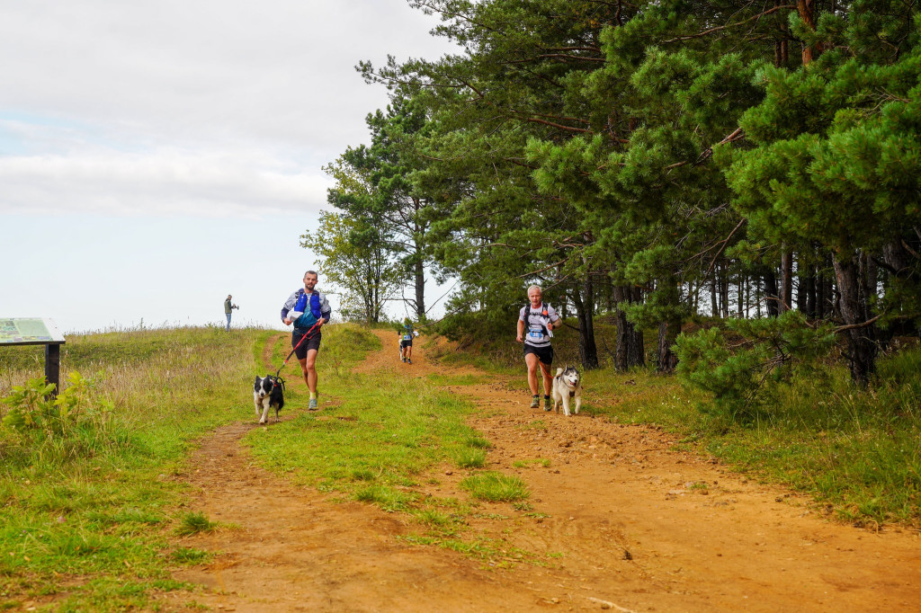 Tarnowskie Góry. Biegli z psami i pomagali psom