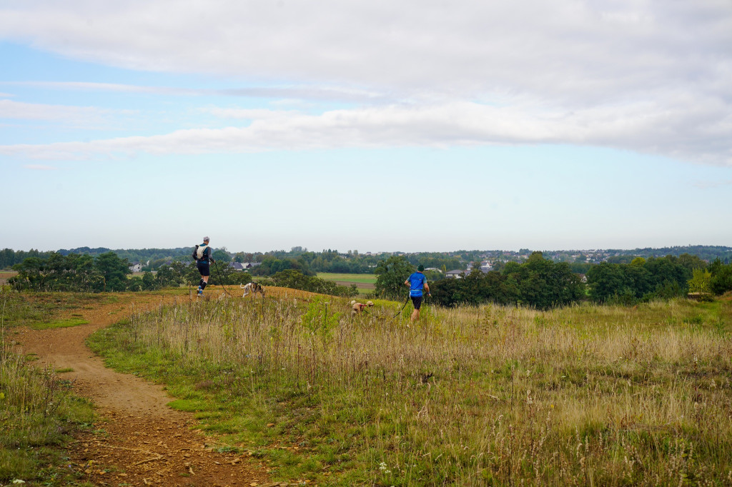 Tarnowskie Góry. Biegli z psami i pomagali psom