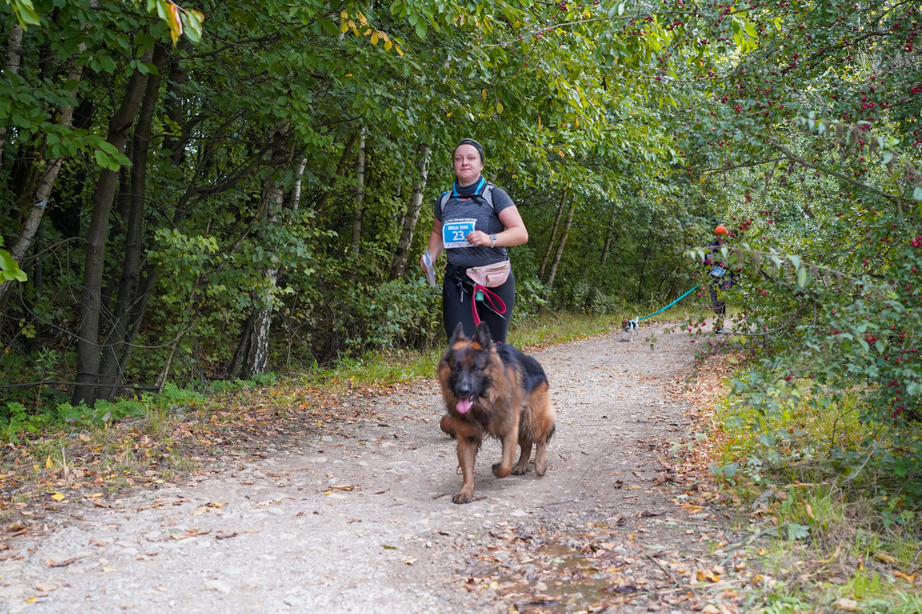 Tarnowskie Góry. Biegli z psami i pomagali psom