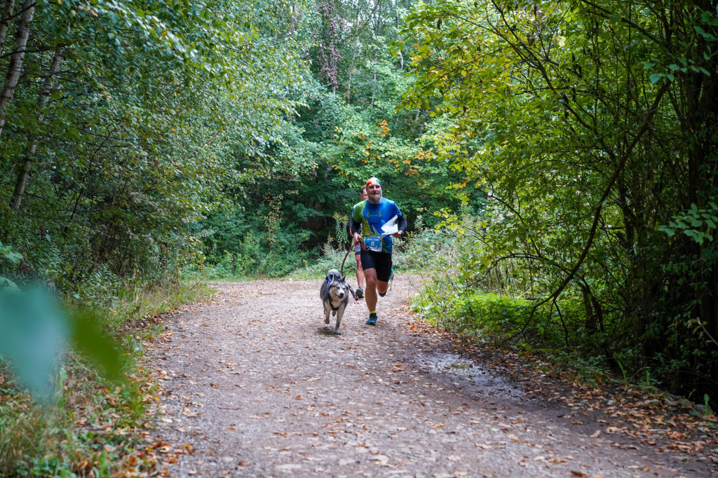 Tarnowskie Góry. Biegli z psami i pomagali psom