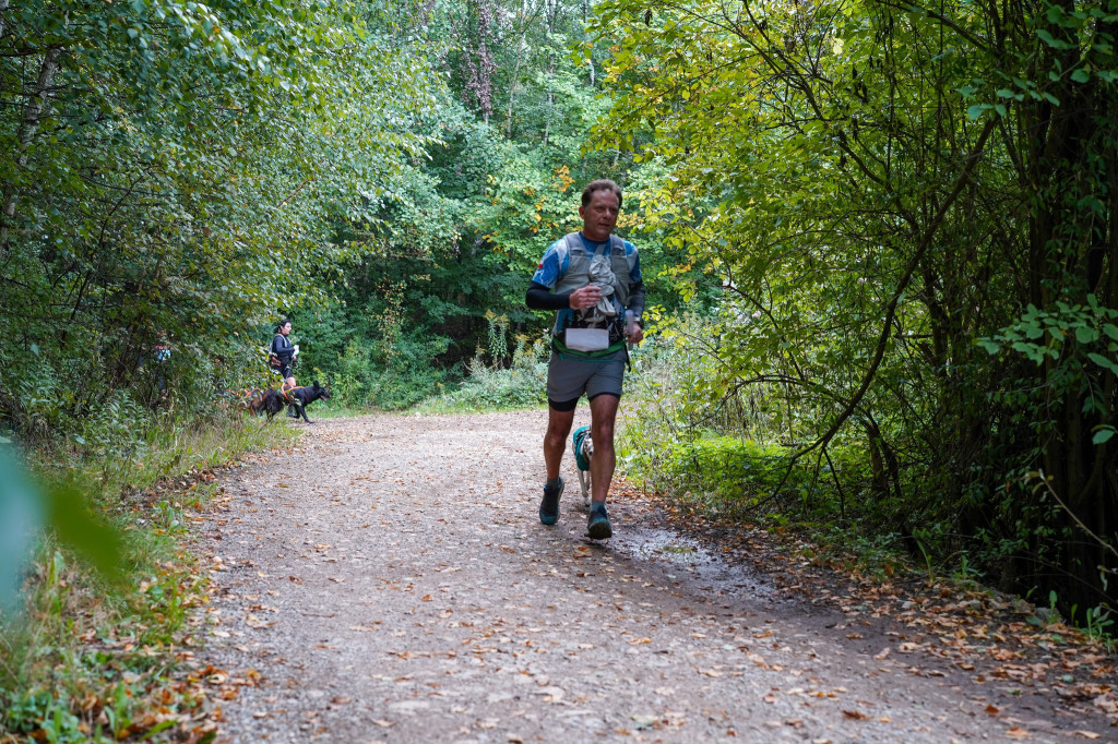 Tarnowskie Góry. Biegli z psami i pomagali psom
