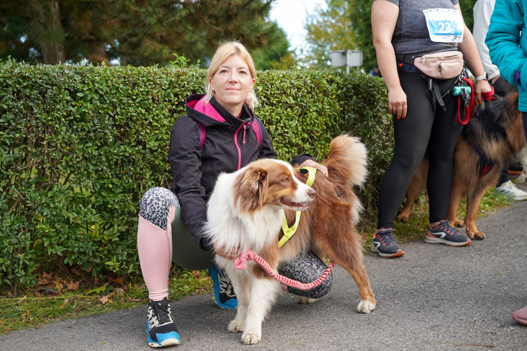 Tarnowskie Góry. Biegli z psami i pomagali psom