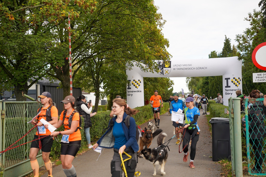 Tarnowskie Góry. Biegli z psami i pomagali psom