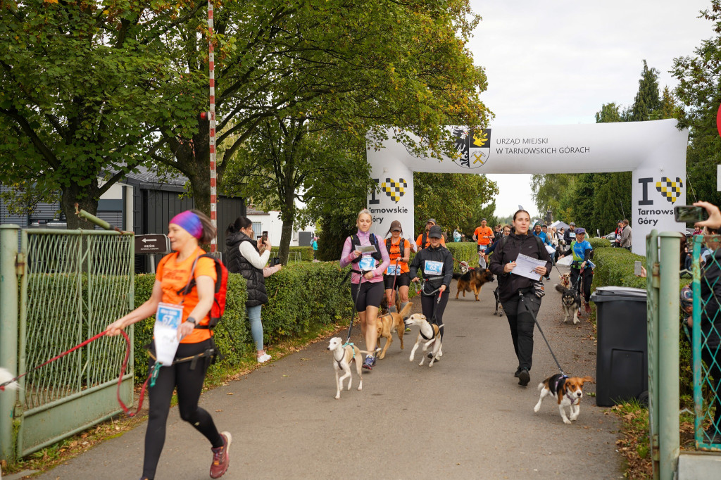 Tarnowskie Góry. Biegli z psami i pomagali psom