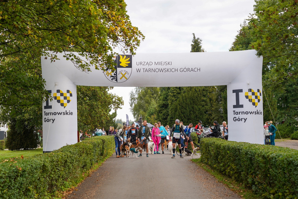 Tarnowskie Góry. Biegli z psami i pomagali psom
