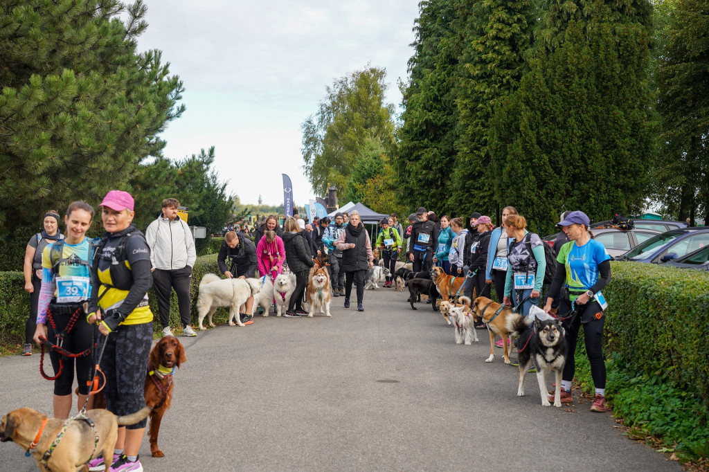 Tarnowskie Góry. Biegli z psami i pomagali psom