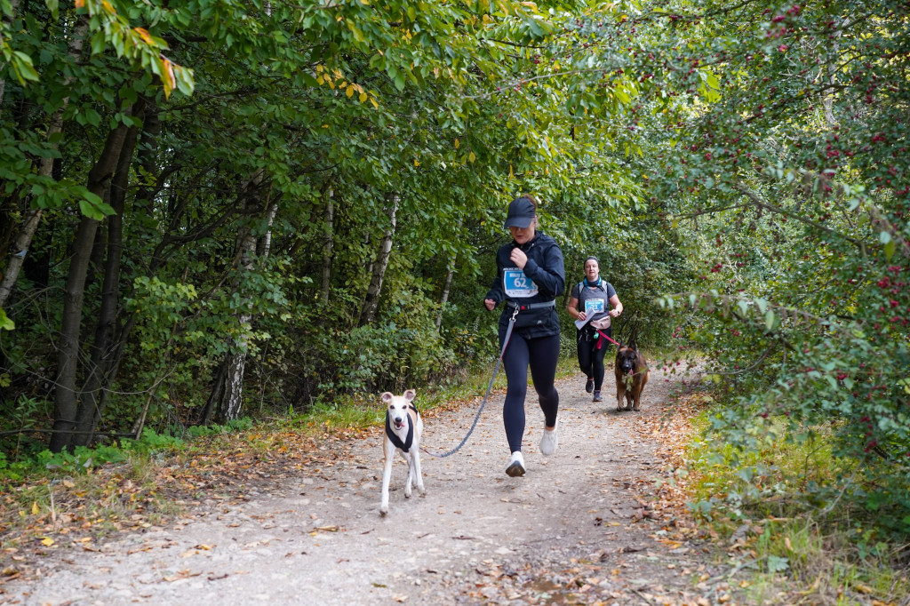 Tarnowskie Góry. Biegli z psami i pomagali psom