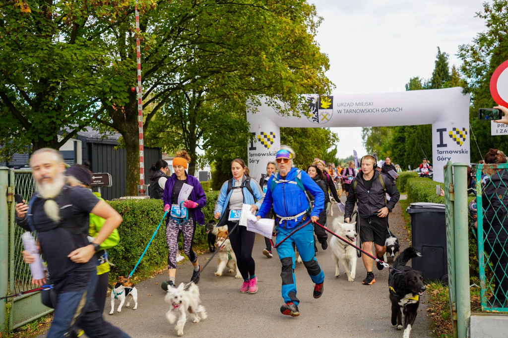 Tarnowskie Góry. Biegli z psami i pomagali psom