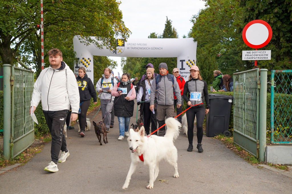 Tarnowskie Góry. Biegli z psami i pomagali psom