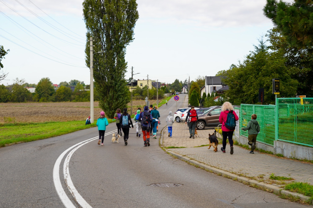 Tarnowskie Góry. Biegli z psami i pomagali psom